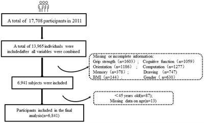 Grip strength and depressive symptoms in Chinese middle-aged and older adults: the mediating effects of cognitive function